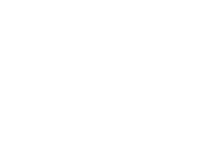 WHITE COMPANY