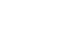 fu logo